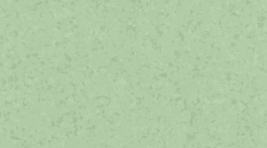 Линолеум Gerflor Mipolam Symbioz / 6017 Grass