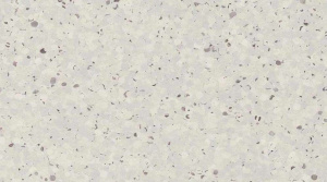 Линолеум Gerflor Mipolam Elegance / 0696 Ginger