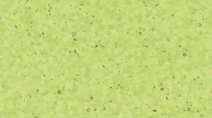 Линолеум Gerflor Mipolam Elegance / 0338 Kiwi