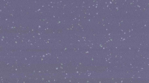 Линолеум Gerflor Taralay Premium Comfort / INDIANA / 4135 Aldabra