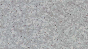 Линолеум Gerflor Mipolam Elegance / 0697 Greenstone