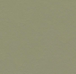 Мармолеум Forbo Сlick / 333355 rosemary green /