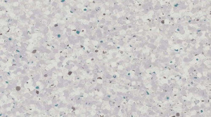 Линолеум Gerflor Mipolam Elegance / 0318 Grape