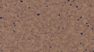 Линолеум Gerflor Mipolam Elegance / 0698 Cacao