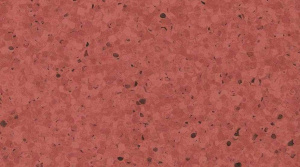 Линолеум Gerflor Mipolam Elegance / 0330 Litchi