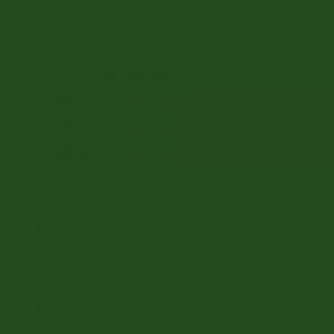 Спортивный линолеум PROFI / BIGFOOT 6.0/1.0 / RICH GREEN