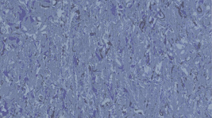 Линолеум Gerflor Mipolam Cosmo / 2636 Overseas
