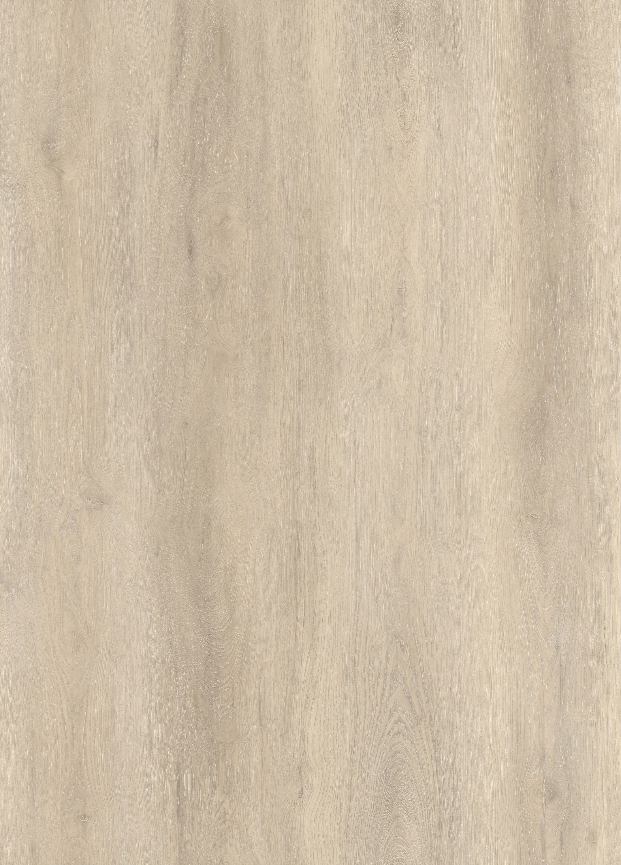 8308 Дуб Альпийский Whole Pattern