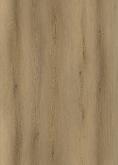 8312 Дуб Американский Whole Pattern