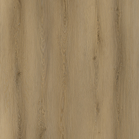 8312 Дуб Американский Whole Pattern