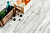Каменно-полимерная плитка Alpine Floor CLASSIC LIGHT / Акация Click ECO 107-88 MC