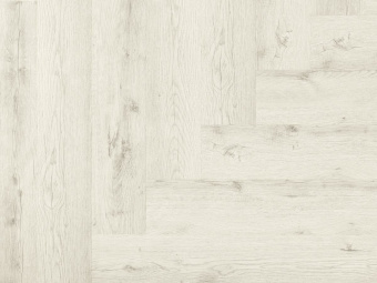 849 Bergen Oak