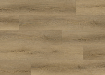 8312 Дуб Американский Installtion Photo