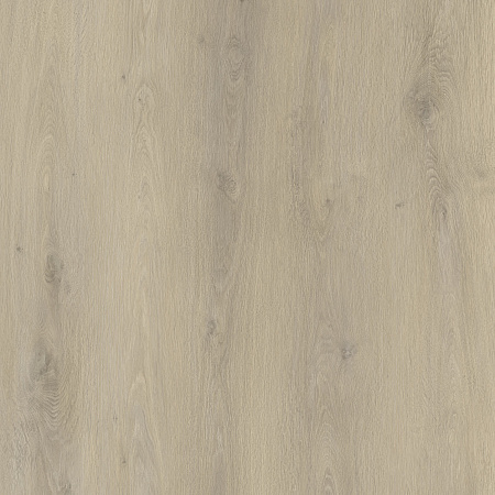 8301 Дуб Славянский Whole Pattern