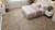 Каменно-полимерная плитка SPC Alpine Floor CHEVRON ALPINE / Дуб Натуральный Отбеленный ECO 18-3