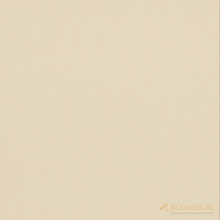 17123