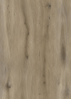 8305 Дуб Бургундский Whole Pattern