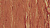Линолеум Gerflor Mipolam Troplan / 1055 Apricot