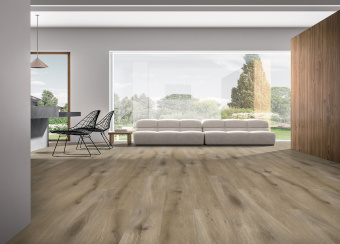 8305 Дуб Бургундский  Room Scene