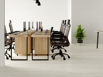 849 Bergen Oak 2