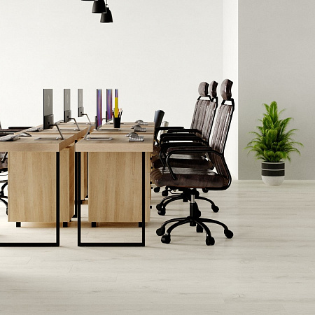 849 Bergen Oak 2